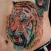 Tattoos - Tiger - 78603